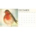 All aflutter 2013 / 2014 Bird Calendar 